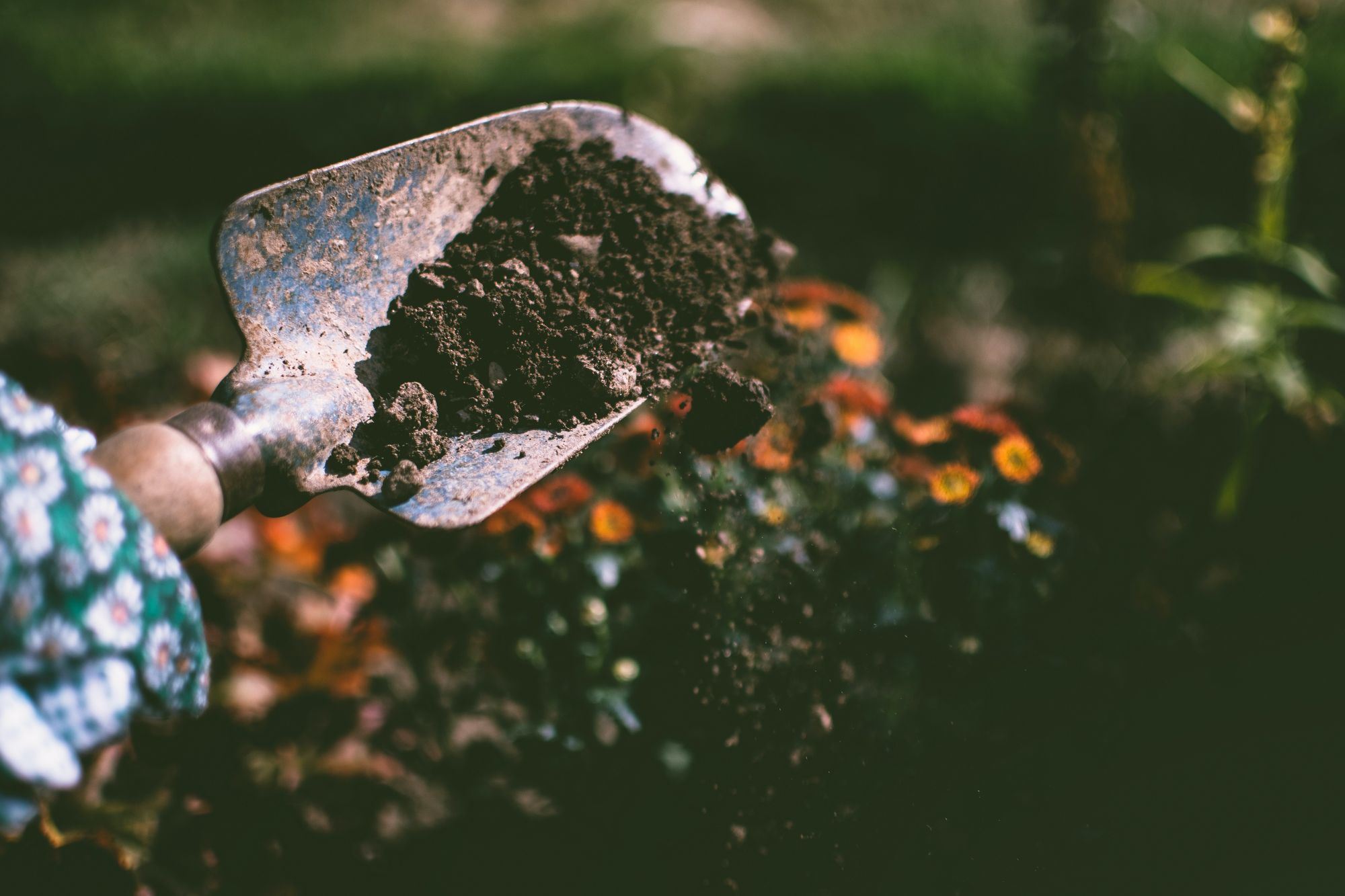 If you or a loved one have chosen to be cremated as your final wish, you have options. From scattering ashes to burying cremated remains in a cemetery, you have several options, affordable and accessible, for how and where to bury the remains. 
