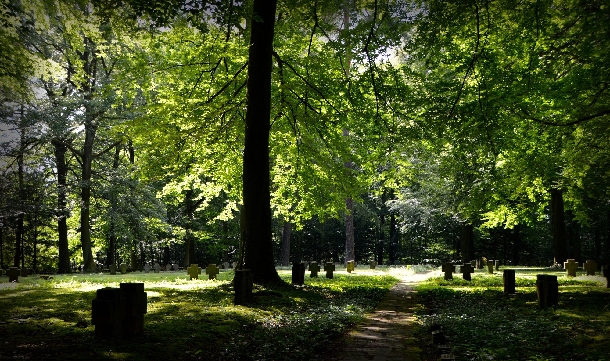 How to Make Eco-friendly Funeral Choices