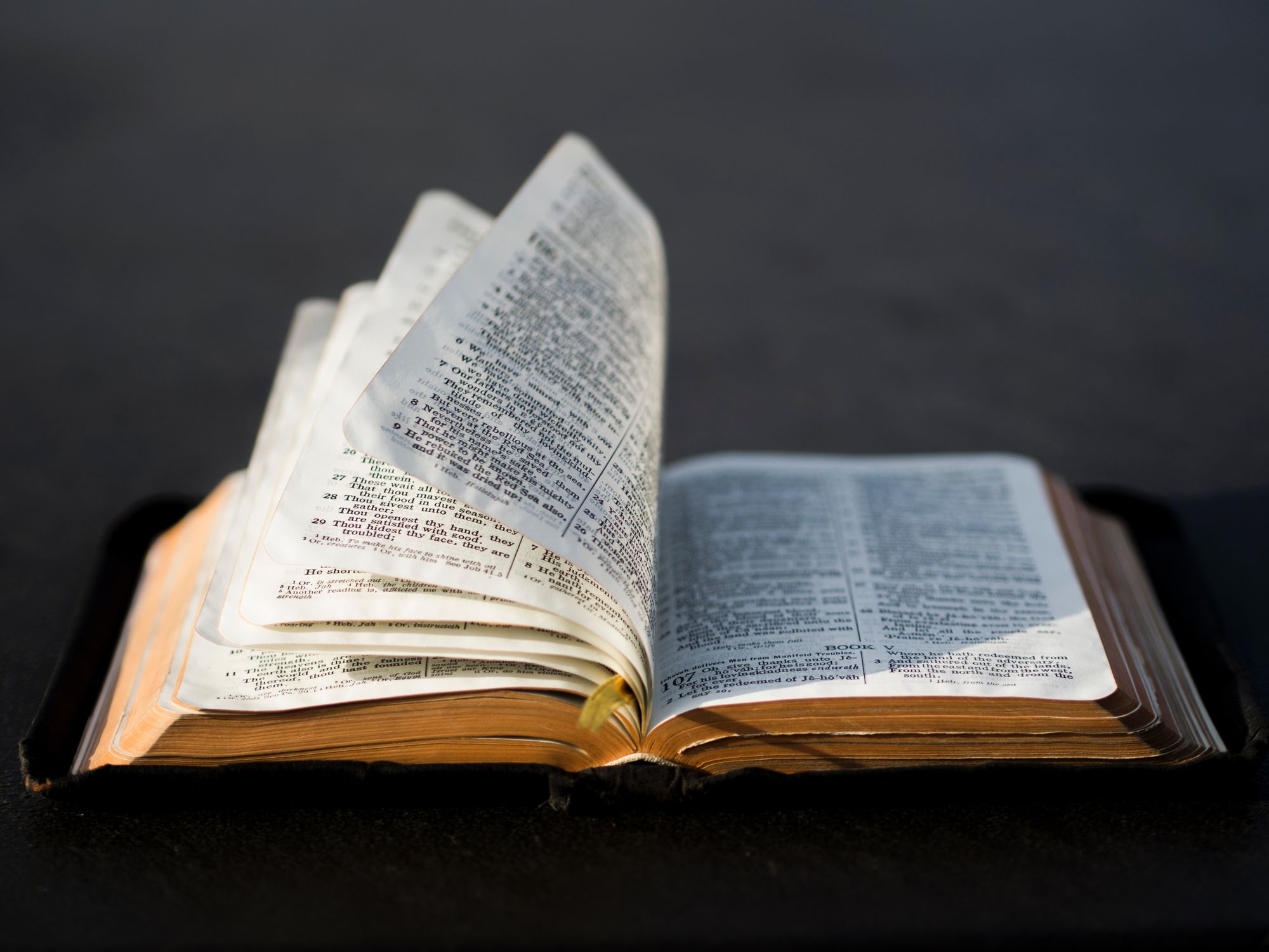 Best Bible Verses for Funerals and Ash-scattering Ceremonies