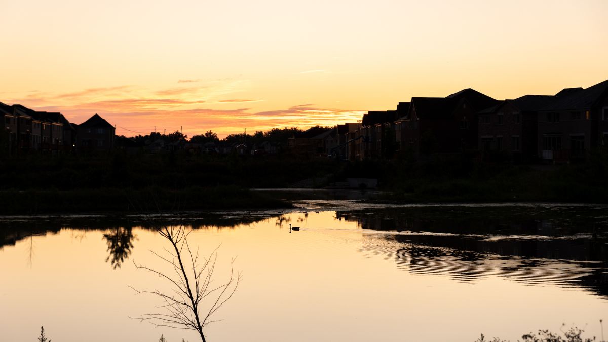 Losing a loved one is an emotionally challenging experience. If you are considering cremation in Halton Hills, Ontario, this comprehensive guide will provide you with the information you need to make informed decisions during this difficult time.