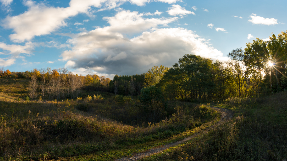 Arranging a funeral can be overwhelming, especially during a time of grief. If you are considering cremation in the Township of King, Ontario, this guide will provide you with the information you need to make informed decisions and navigate the process. 