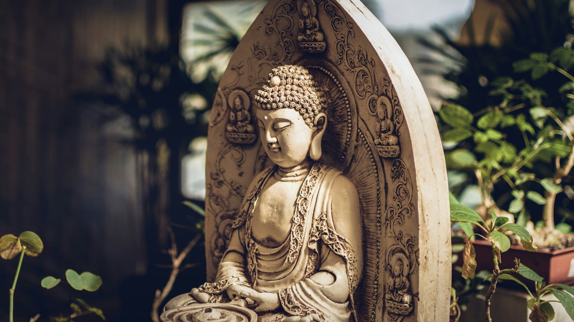 While traditional Buddhist cremation rituals hold significance, modern life presents new considerations. This post explores direct cremation in the context of Buddhist beliefs and offers guidance for a meaningful farewell.