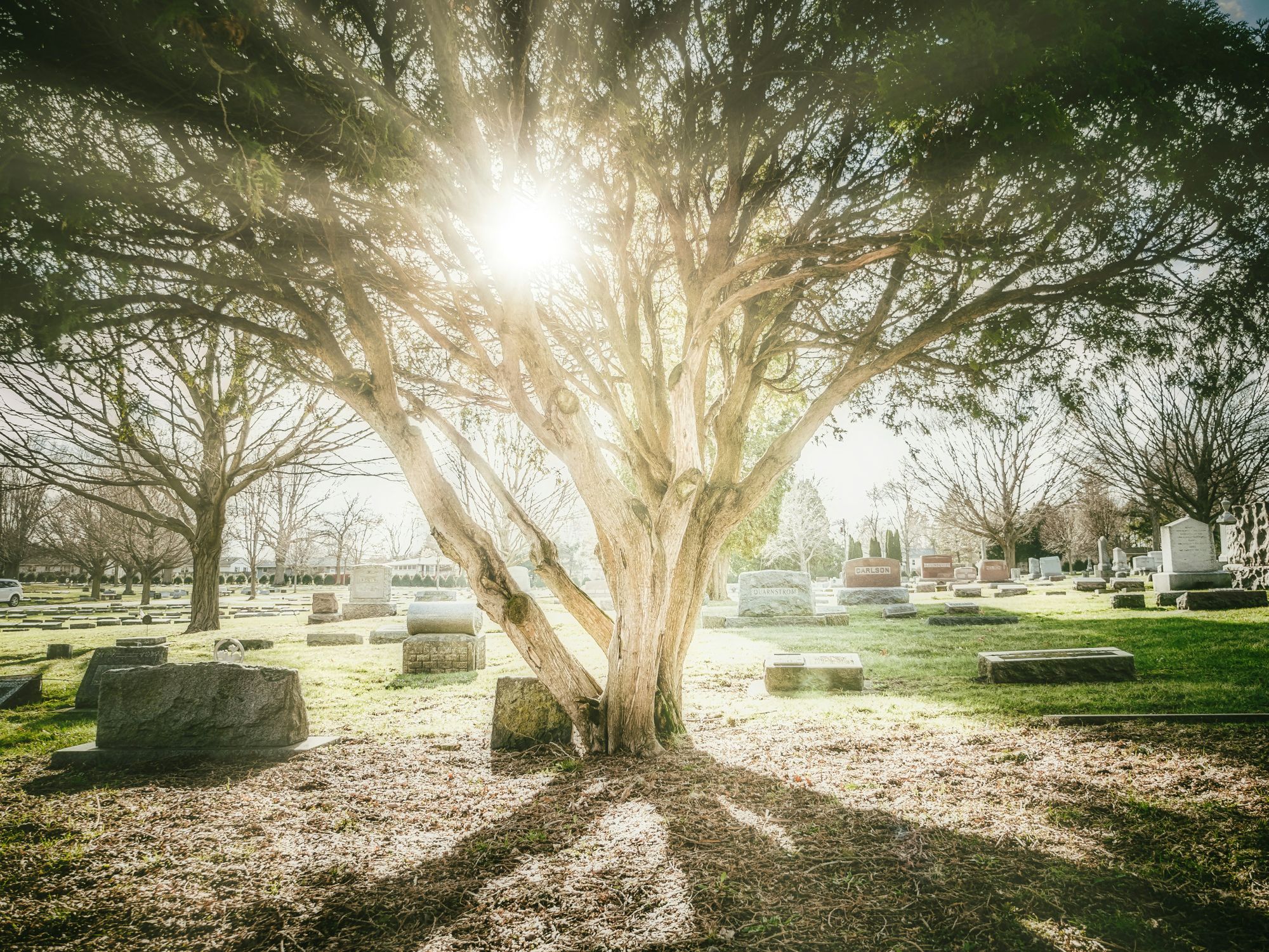 Discover the variety of cemetery plot sizes, from single to family plots, and how cemeteries are laid out with sections, blocks, and rows. Explore specialized areas like mausoleums and scattering gardens.