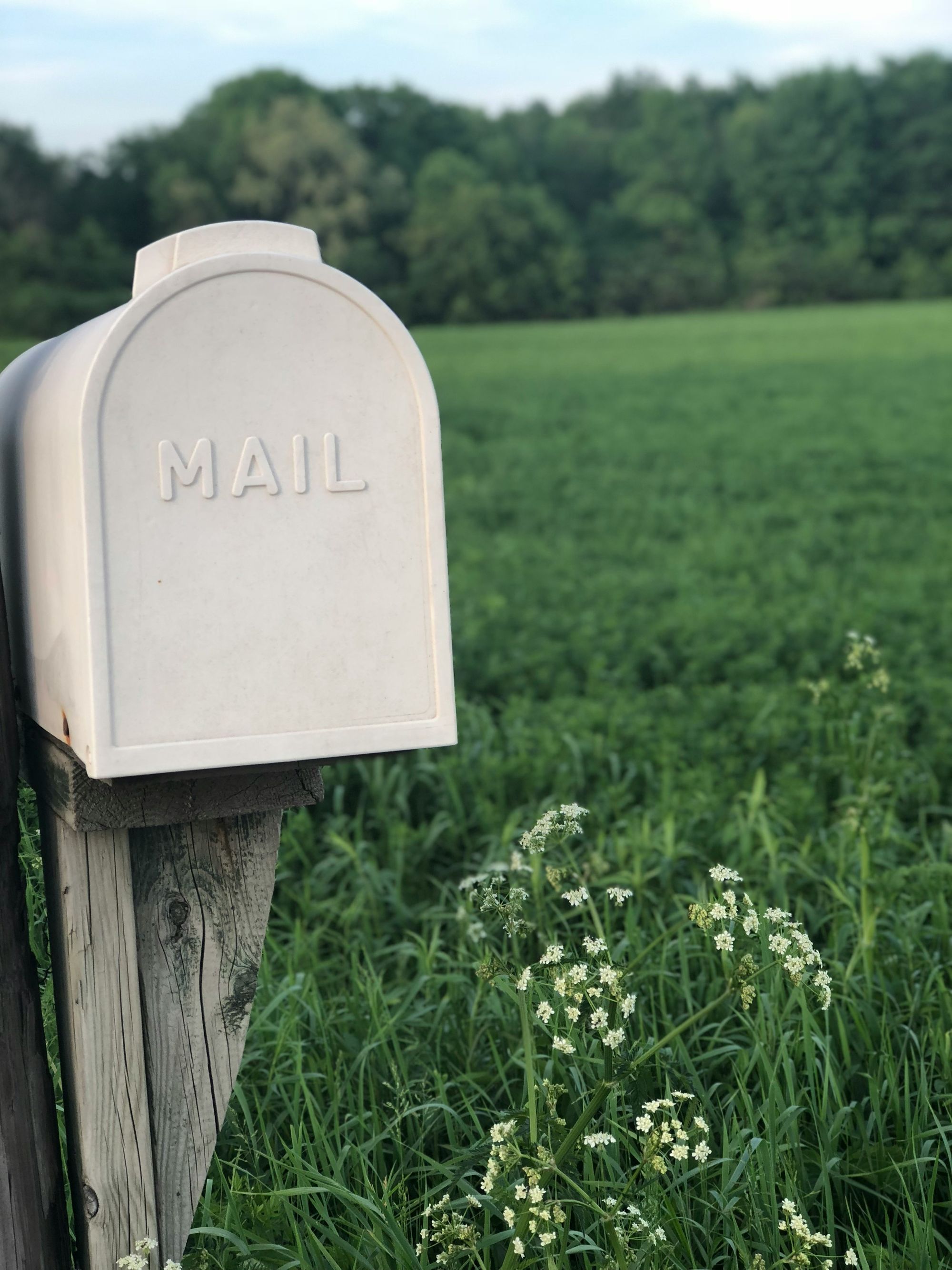 Eirene: Mail Redirection After a Death: A Guide to Canada Post's Services