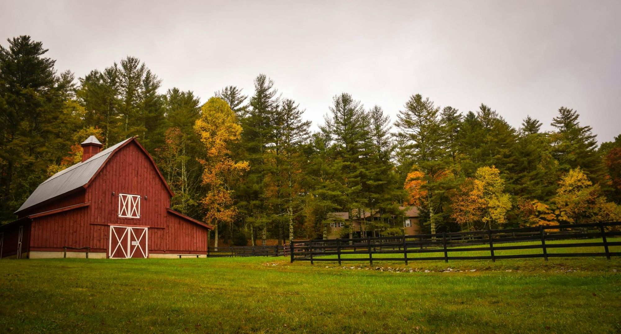 The passing of a loved one is always a challenging and emotional time, but when the deceased owned a farm and livestock in Canada, the complexities of managing their affairs can be particularly daunting.