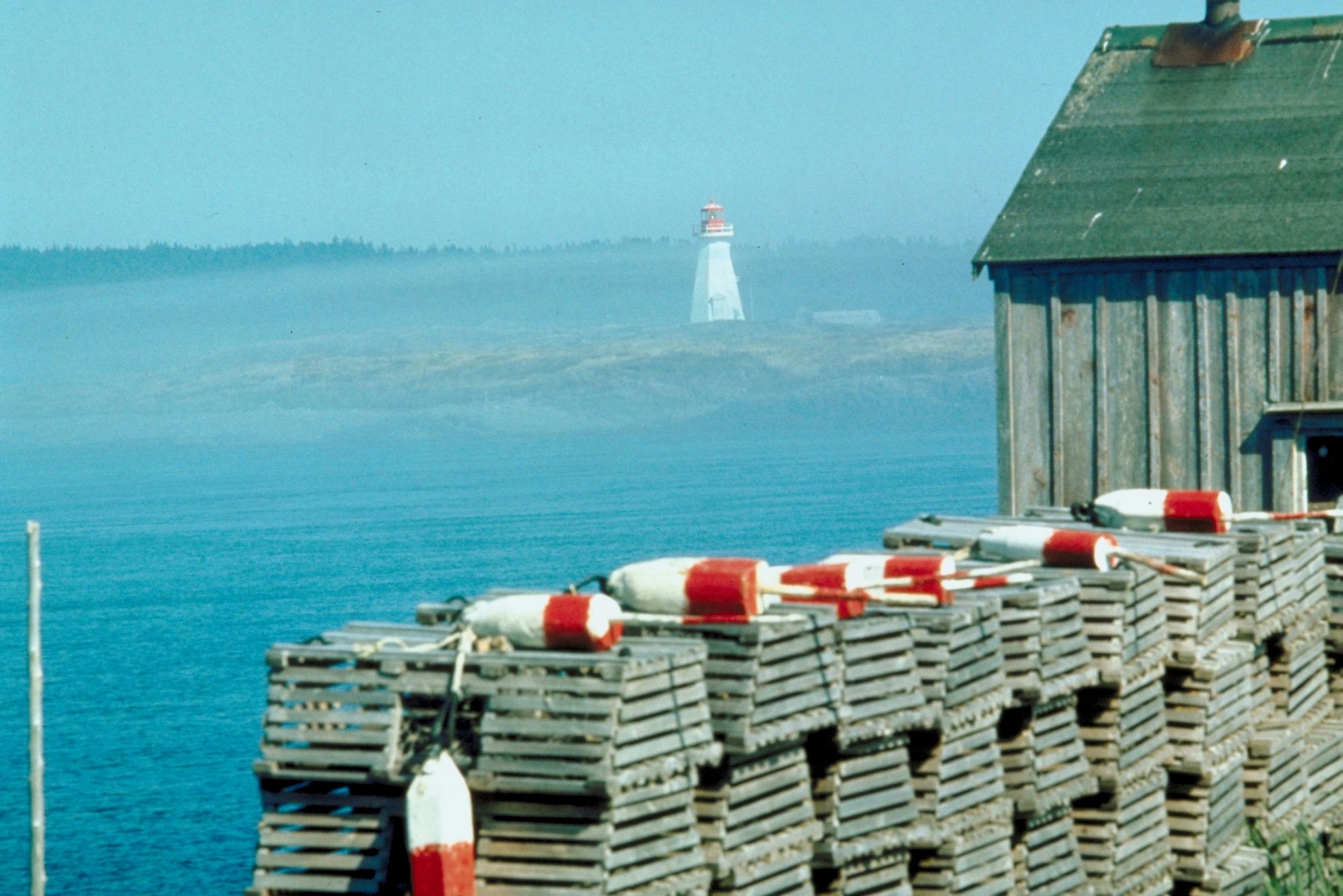 Saying goodbye to a loved one is a deeply personal experience. Cremation offers a dignified option, but it doesn't have to be impersonal. Scattering ashes in a beautiful Nova Scotia location can be a touching tribute, connecting your loved one with the province's stunning landscapes.