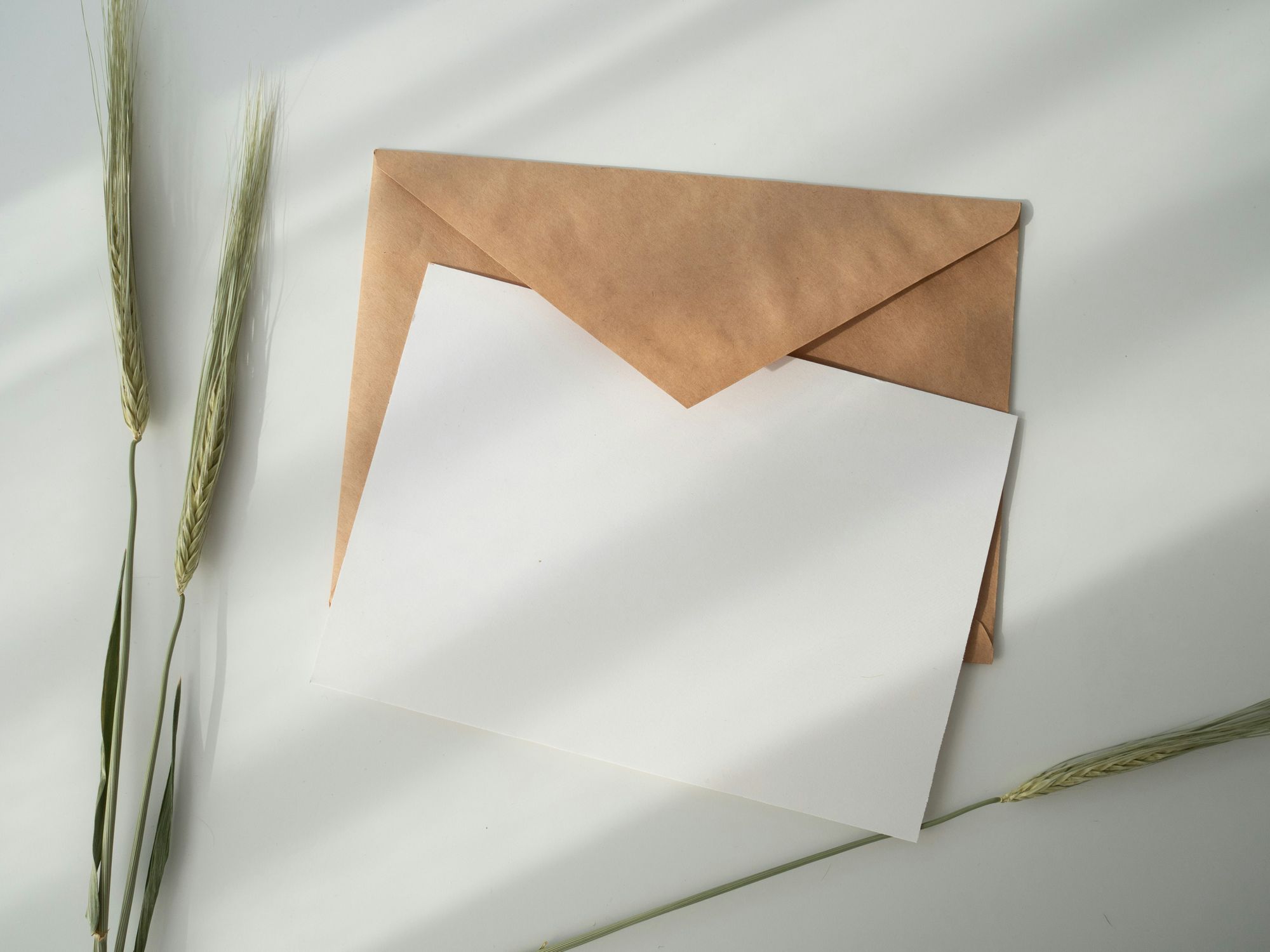 A funeral card serves as a touching tribute to the deceased and a way to express your condolences to the grieving family.  But crafting the right message can feel daunting. What words best convey your emotions and memories? 