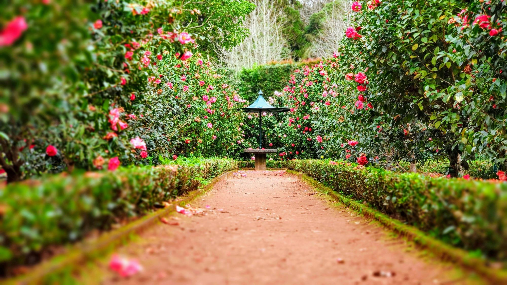 Outdoor memorial services offer a chance to connect with nature and celebrate the life of a loved one in a serene and meaningful setting. With careful planning and attention to detail, these events can create lasting memories for grieving families and friends.