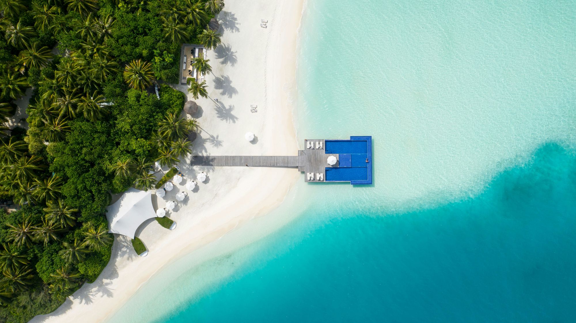 When a Maldivian national or person with ties to the Maldives passes away in Canada, the process of returning them to this island nation for final rites can be both emotionally challenging and logistically complex. 