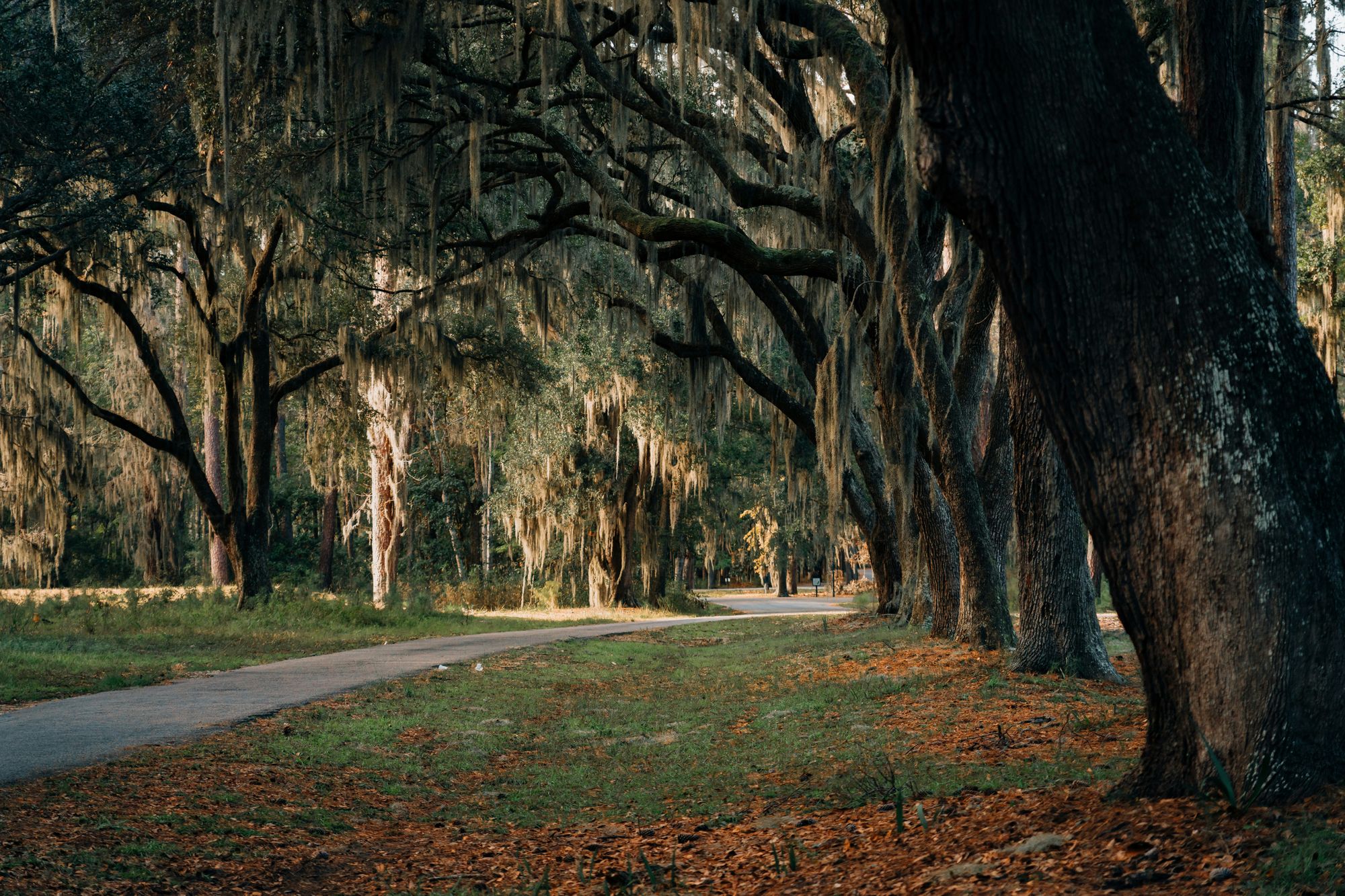 As a Canadian residing in South Carolina, whether as a snowbird or a permanent resident, it's crucial to consider end-of-life planning. 