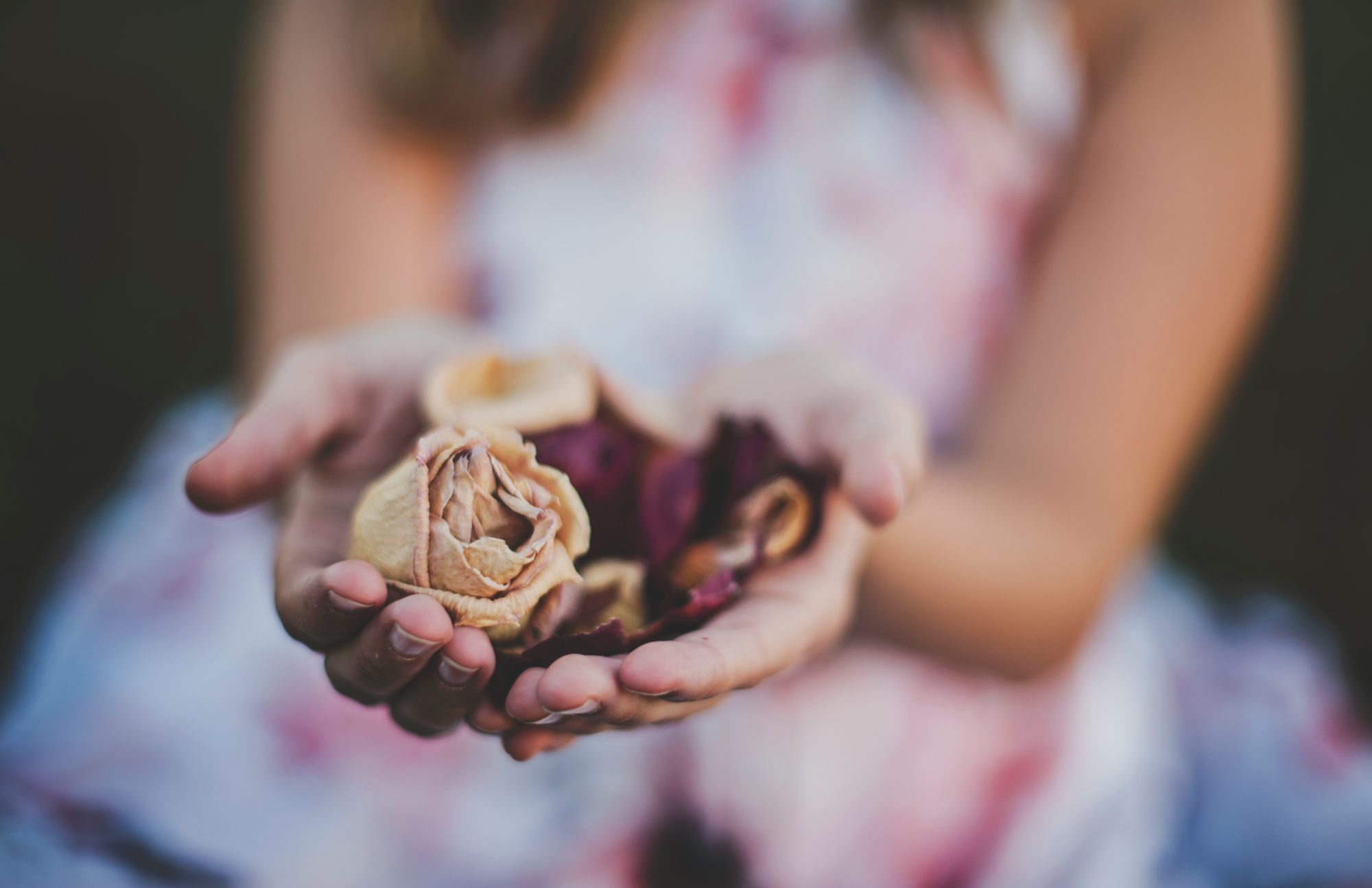 Dr. Ira Byock's groundbreaking book reveals the profound impact of four seemingly simple phrases: "Please forgive me," "I forgive you," "Thank you," and "I love you." Learn how to use these phrases to heal past hurts, reconcile with loved ones, and find peace before it's too late.