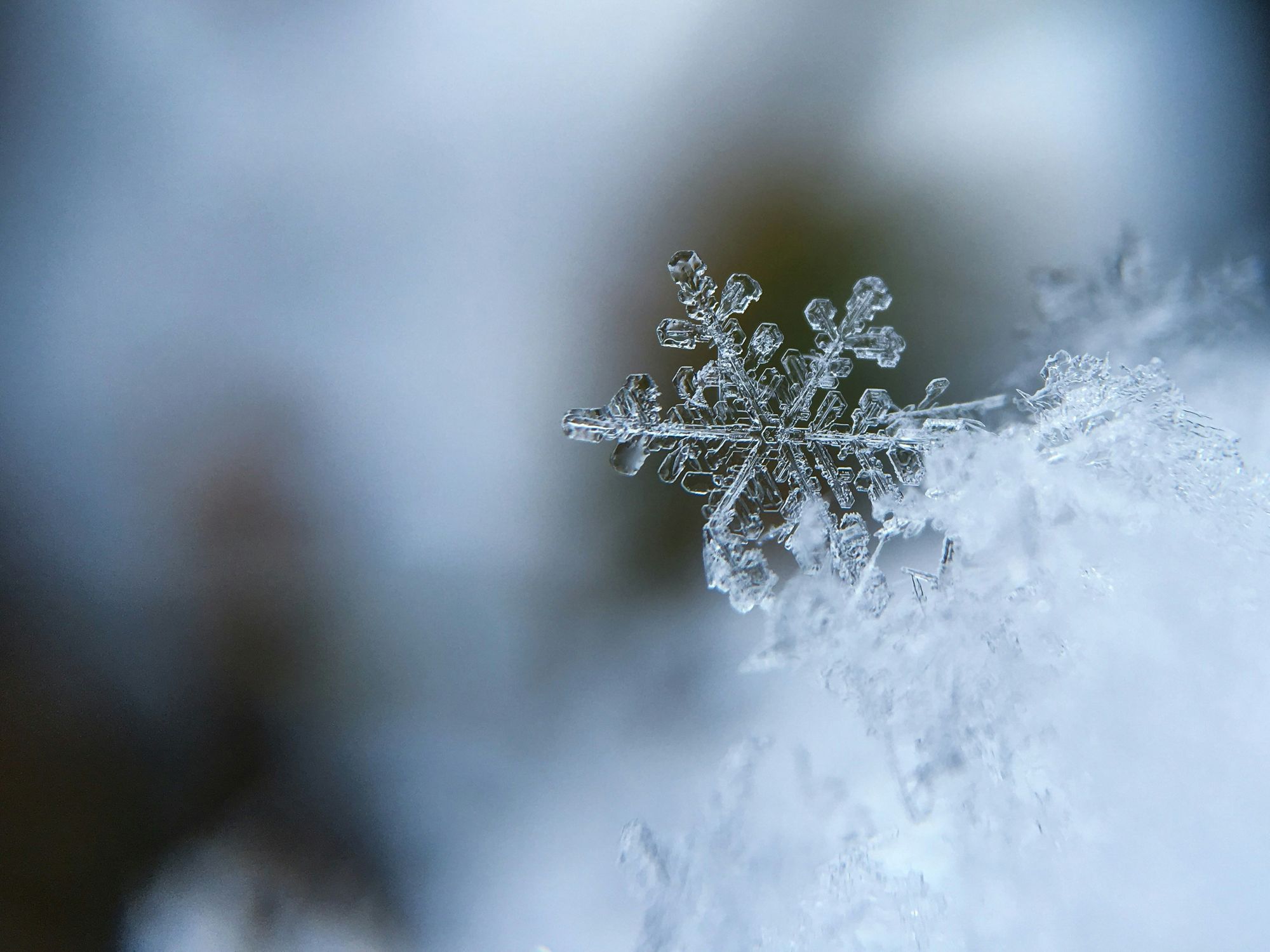 This guide explores how winter burial practices are managed in Nova Scotia, including cemetery preparations, temporary alternatives, and tips for families planning funerals during the colder months.